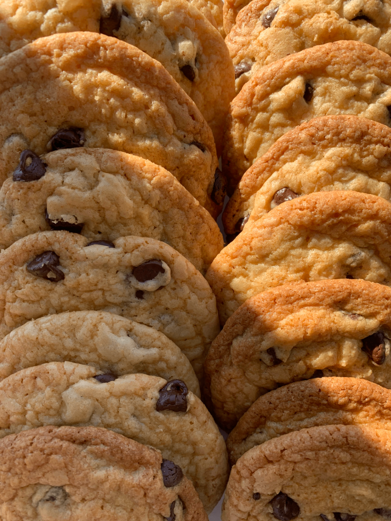 Fresh chocolate chip cookies